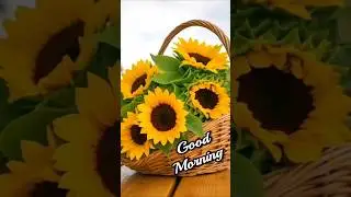 good morning status video /good morning images/flowers with good morning/ #whatsappstatus