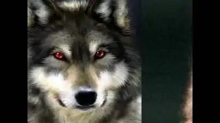 Video collage maker