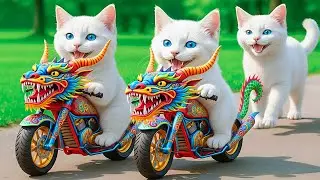 Kittens Ride Dragon Superbikes 🐉🏍️ to Save a Chemical Factory from Evil Fox 🦊💥 | Epic Action Mission