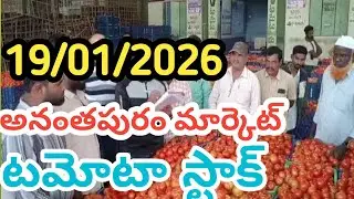 అనంతపురం మార్కెట్ టమోటా🍅🍅🍅 దిగుమతి/19/01/26/Today Tomato Market Ananthapuram price in rate #tomato 