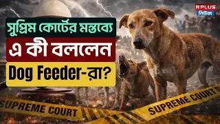Supreme Court On Stray Dog Case :Stray Dog নিয়ে সুপ্রিম কোর্টের মন্তব্যে এ কী বললেন Dog Feeder রা?