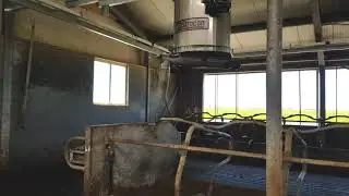 Cobra Easy Bed - Automatisch instrooien van ligboxen