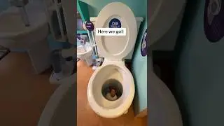 I got flushed down the World&rsquo;s largest toilet!🚽👀