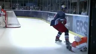 Red Bulls Salute 2011