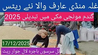 Makki munji gandam price today| till Sarso bajra| ghalla mandi rate today