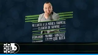 Homenaje A Los Wuarawuako, Fernando González & El Combo Que Nota - Audio