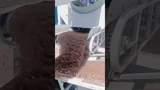 mushroom bag separating machine #mushroomgrowing #automobile #mushroomfarming #mushroomcultivation