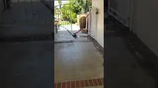 Tent Fumigation Preparation