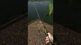 Unique Grass Carp - Part 6 #carpfishing #fishing #angler