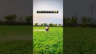 इल्ली 🐛🪳🤣#insects #chemical #khetibadi #farming #comedy #funny #kheti