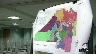 Jacksonville&rsquo;s growing population could change who on City Council represents you