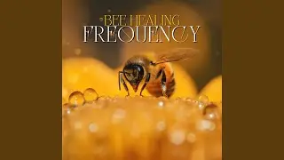Healing Vibrations of the Hive