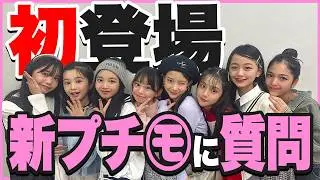【初登場】新プチ㋲に質問してみた🎀【質問コーナー】