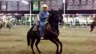 Caballos Bailadores Expo Gan Sonora, 18/Mayo/2007