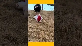 Kwai Funny chinese comedy Videos 2026  😁 😂 Video#shorts#funny#comedy