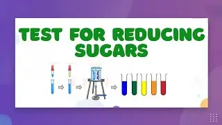 Test for Reducing Sugars &mdash; LearnStalk Biology