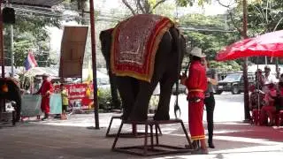 Ayutthaya, Thailand Elephant Show HD 1080p #1