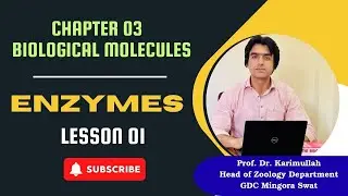 Enzymes | Chapter 03 | Structure of active sites| NMDCAT 2025 | Class 11 | Biology