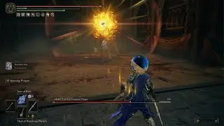Shadow of the Erdtree Midra Boss Fight Mage Build