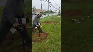 making holes to plant trees 🌳