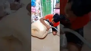 Packing boneka beruang super jumbo 1.5m