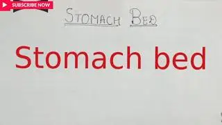 Stomach bed anatomy with diagram  made easy..