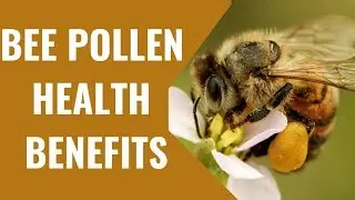 Shocking Bee Pollen Health Benefits - Part 1