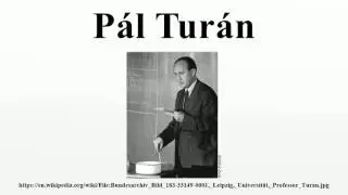 P&aacute;l Tur&aacute;n