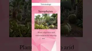 terminology! #xerophytes #terminology #exam #agriculture #plants