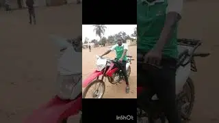 Dolsinho Estenda Dona Florencia 