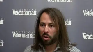 How Are Insurance Companies Involved in the Veterinary Space?