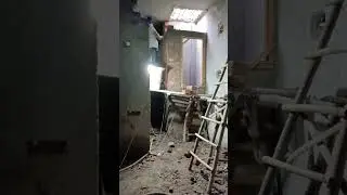 wall plaster chunai work||#shorts #shortvideo @ritzywall