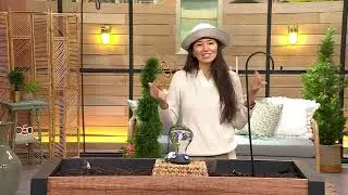 Marigold Painted Glass Hummingbird Feeder on QVC