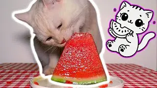 GATOS Probando Sandía en ASMR 🍉 Dulce, Tierno y Relajante 💤