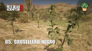 RDR2 GROSELLERO NEGRO: Ubicaci&oacute;n y Compendio | Gu&iacute;a de Plantas #005