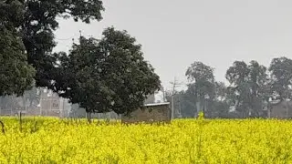 गुड मॉर्निंग  दोस्तो