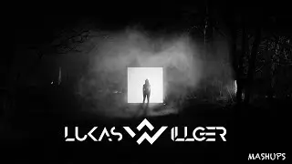 Zen/it - Wave vs. BROOKS - Waiting for you  [ LUKAS WILLGER mashup ]