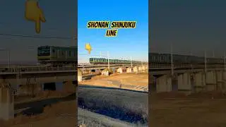 &ldquo;Relaxing Train Ride in Japan 🌅 | Shōnan&ndash;Shinjuku Line&rdquo; #train  #shortvideo