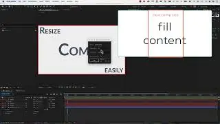 Demo Change Comp Size and Scale Contents