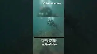 why the azov sea is so small
