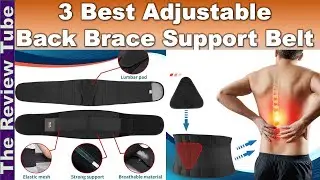 Top 3 Best Adjustable Back Brace Support Belt for Lower Back Pain
