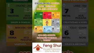 🤯 Dime la Orientaci&oacute;n de TU Casa y te dir&eacute; que zonas potenciar 🙏