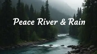 Soothing Steady Rainfall with River Soundscape for Anxiety Relief and Inner Peace