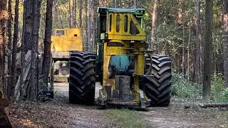 2022 Pine Tree Harvest