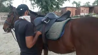 How to open saddle #saddle #equestrian #viral #horselovers #horse #viral #equipment #love