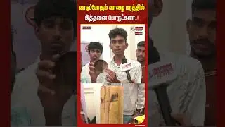So many things in a withering banana tree..! #shorts #inventions #students #plaintain