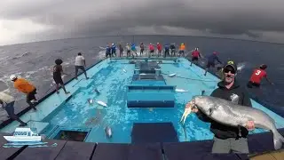 Sea Sirens | Epic Fishing Adventures on the High Seas