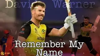 David Warner Motivational Status | A Story Of A Phoenix | From Dropped , Humiliated To Be The MOT ||