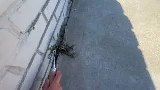 GREBSTK Crack Weeder Crevice Weeding Tool  Review