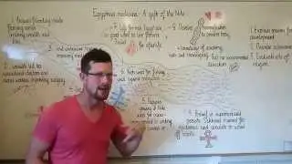 Ancient Egyptian Medicine for GCSE history
